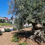 Levante - Isola D'elba Hotel