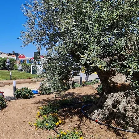 Levante - Isola D'elba Szálloda