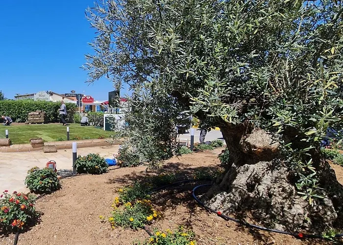 Levante - Isola D'elba فندق